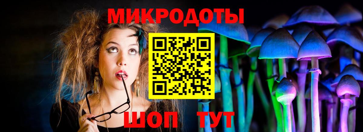 Псилоцибиновые грибы MAGIC MUSHROOMS Домодедово